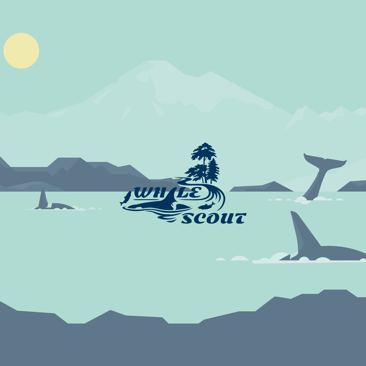 whale scout
